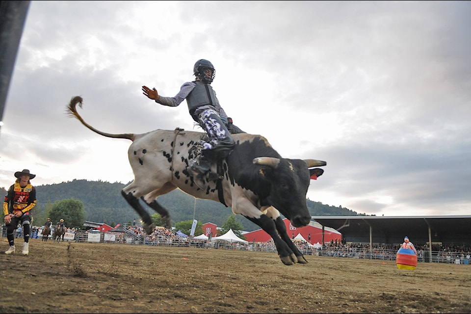 A bull rider competes in the Chilliwack Rodeo during the 153rd annual Chilliwack Fair on Friday, Aug. 8, 2025.