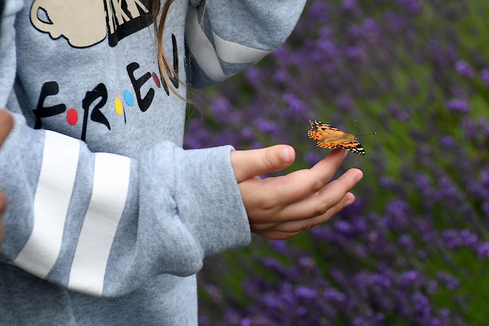 People take part in the Memorial Butterfly Release hosted by Abbotsford Hospice and Grief Society at Tuscan Farm Gardens on Saturday, June 21, 2025.