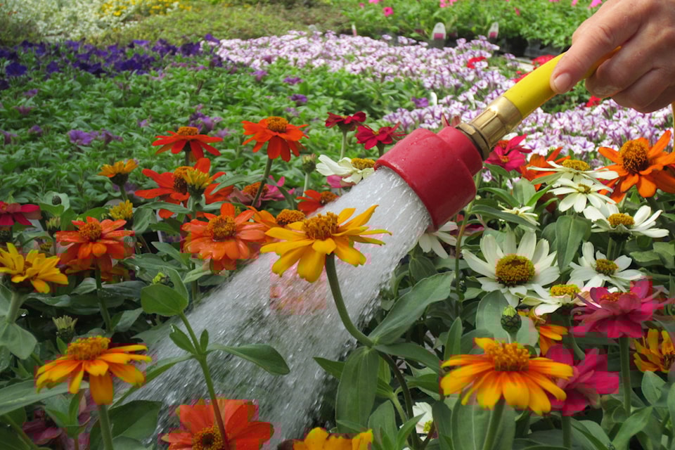 watering-hose-cgl