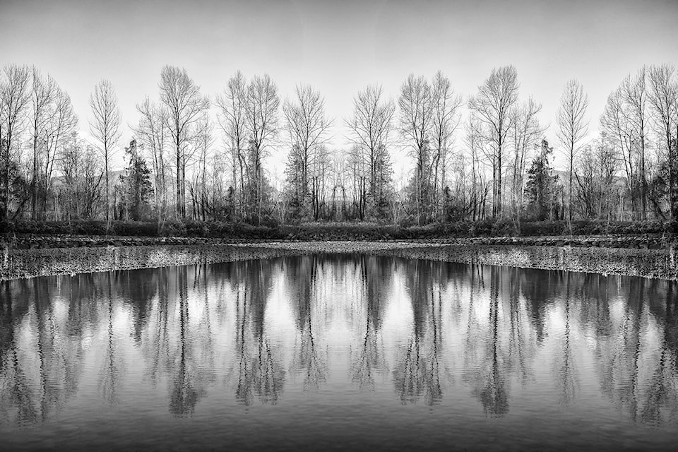 reflected-reflection-vickie-legere