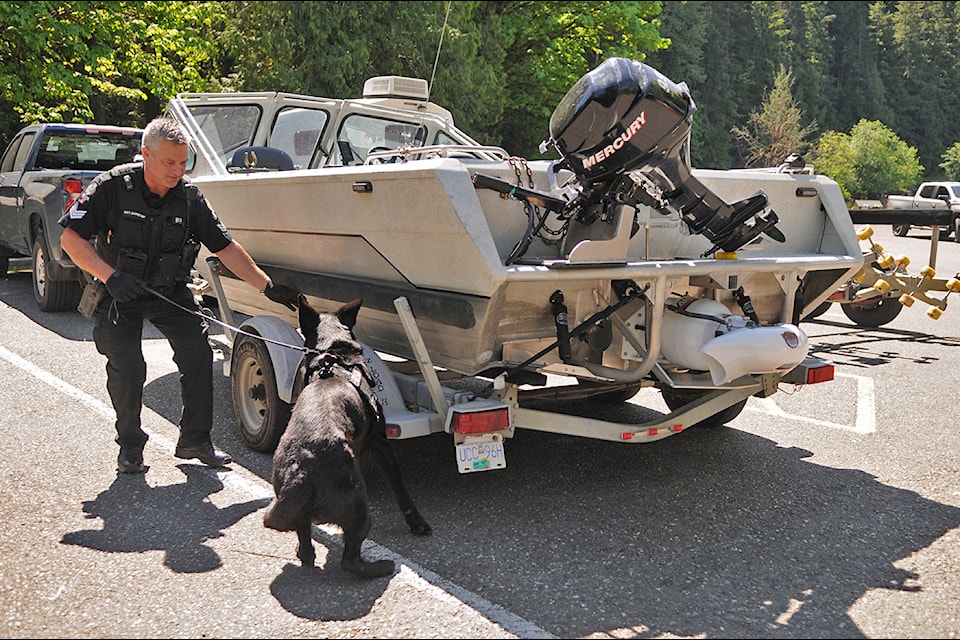 Sgt. Denny Chrétien with B.C. Conservation Officer Service leads dog Major around a boat at Jade Bay Boat Launch at Cultus Lake on Tuesday, May 6, 2025. Major is trained at sniffing out zebra mussels and quagga mussel which are invasive species that the province is wanting to keep out of B.C. lakes and waterways. 