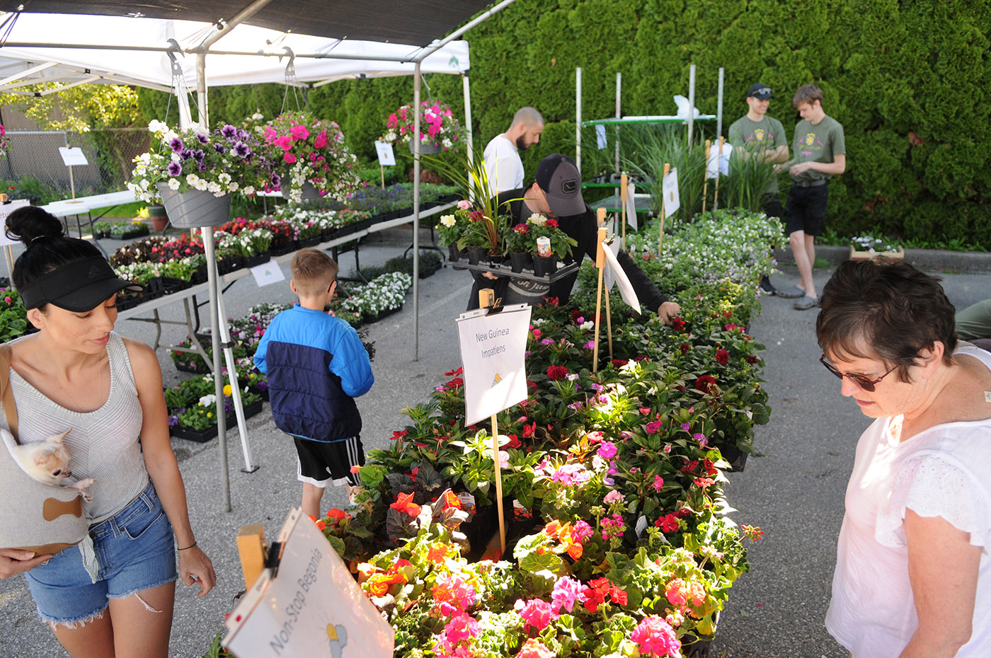 plant sale