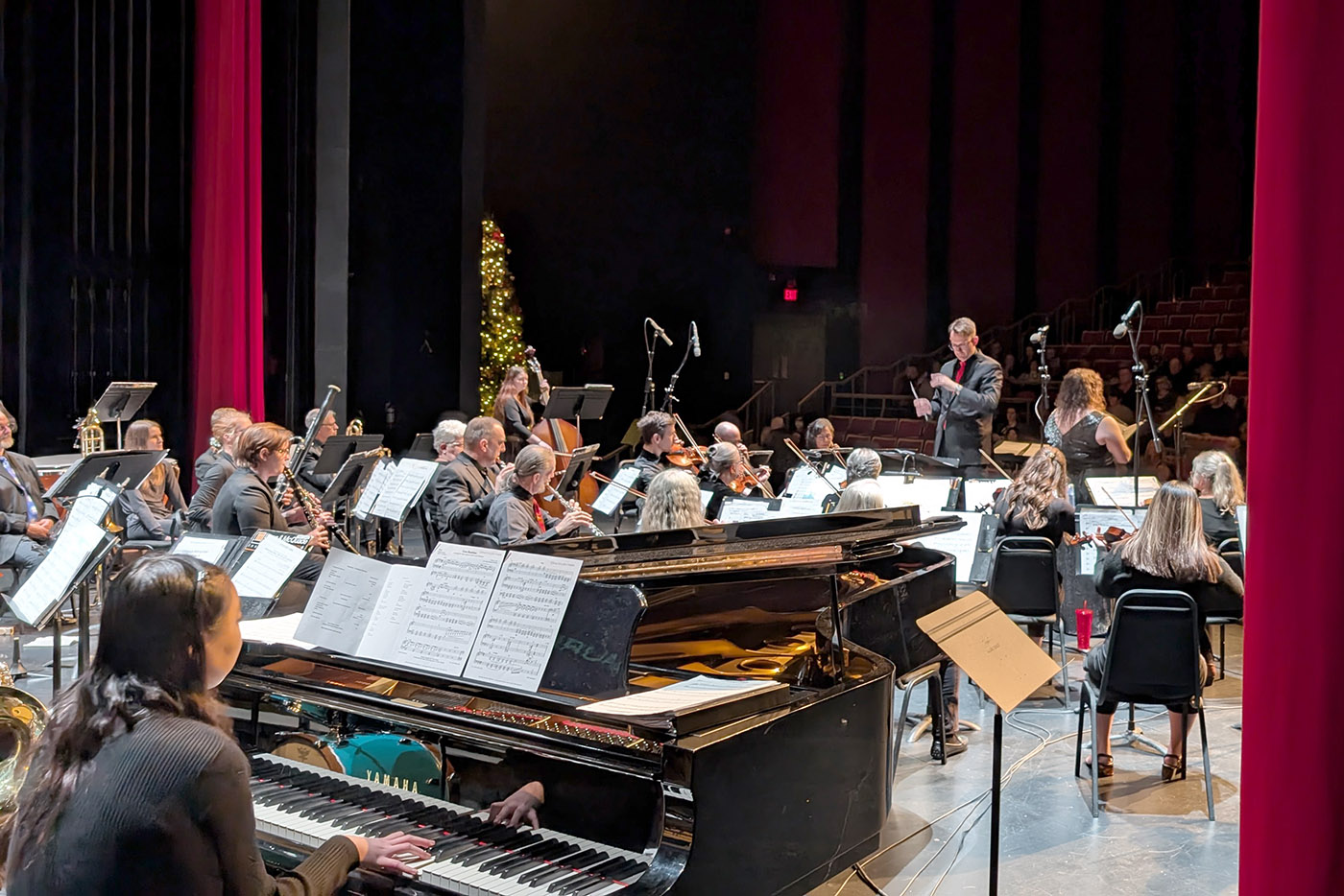 Chilliwack orchestra honours 'wonderful country' with all-Canadian music