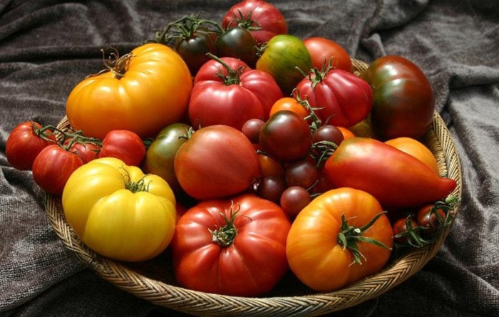 65883chilliwackTomatoesinBasketWeb