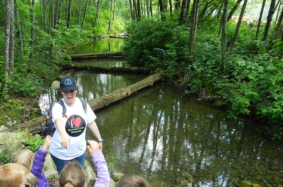 web1_BrowneCreekwetland