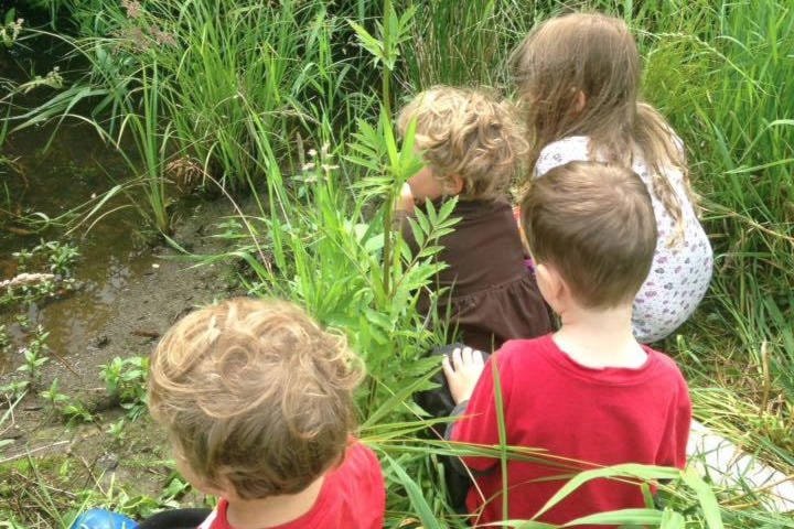 web1_Nature-School-Yarrow