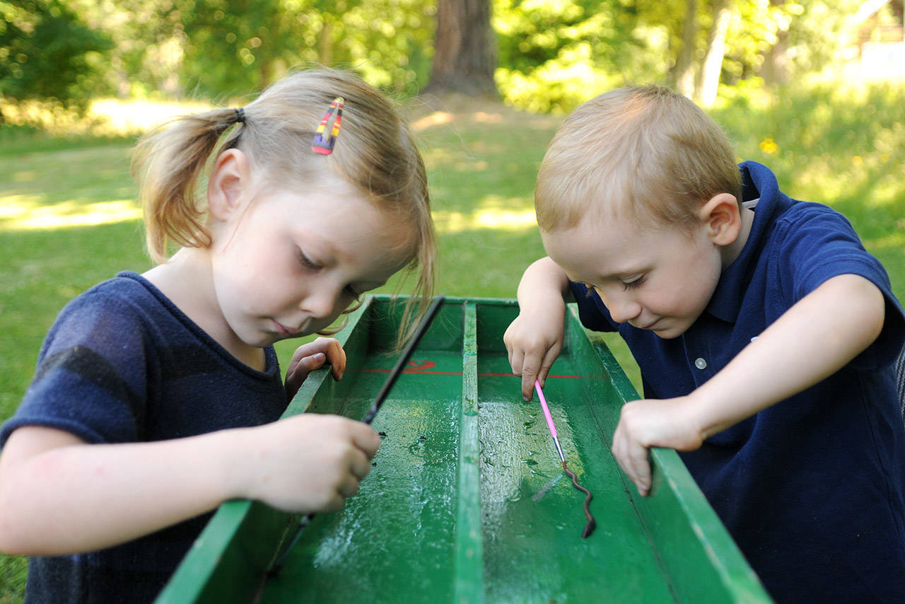 Dew worm races resurface at Ryder Lake Country Fair The Chilliwack
