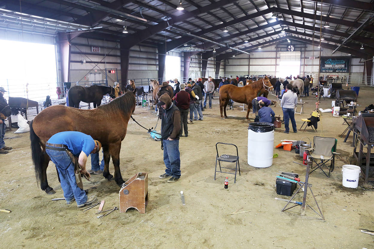 11160928_web1_180323-CPL-HorseshoeChampionships-IMG_7249