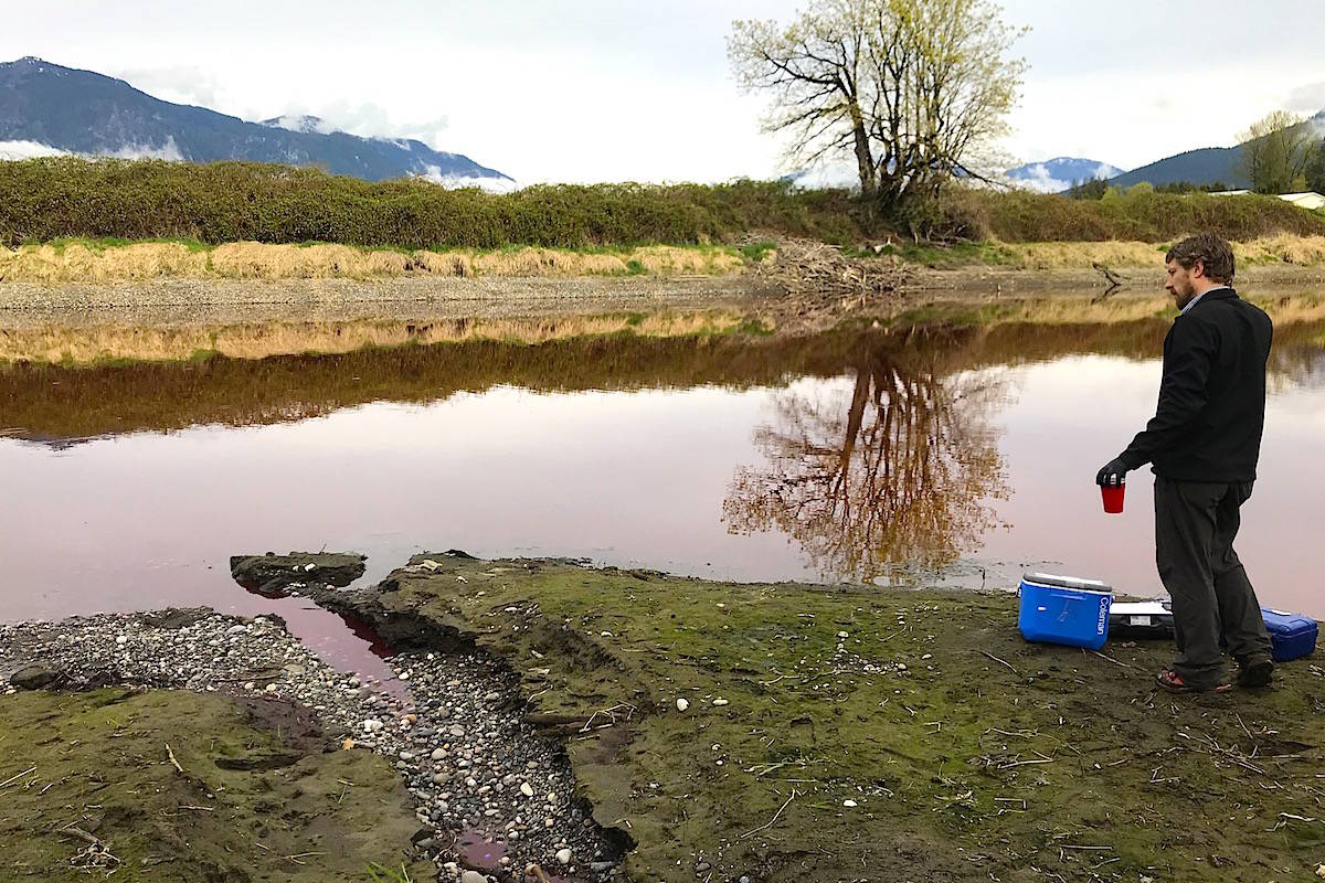 16278255_web1_copy_pink-slough-discharge-sampling2