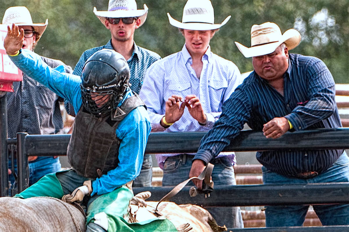 17870878_web1_ChilliwackRodeo2018-RoyCall-cattleprod