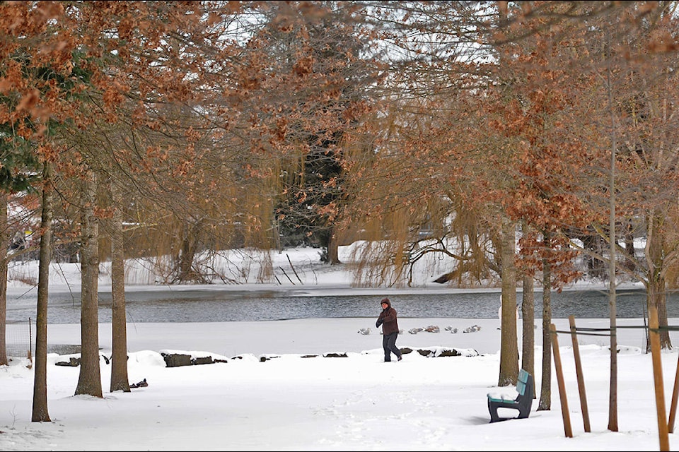 A person takes in the winter weather at Sardis Park in Chilliwack on Wednesday, Jan. 15, 2020. (Jenna Hauck/ The Progress)