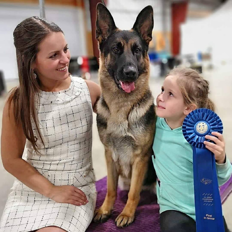 20477762_web1_200208-CPL-Bella-Westminster-Dog-Show_1