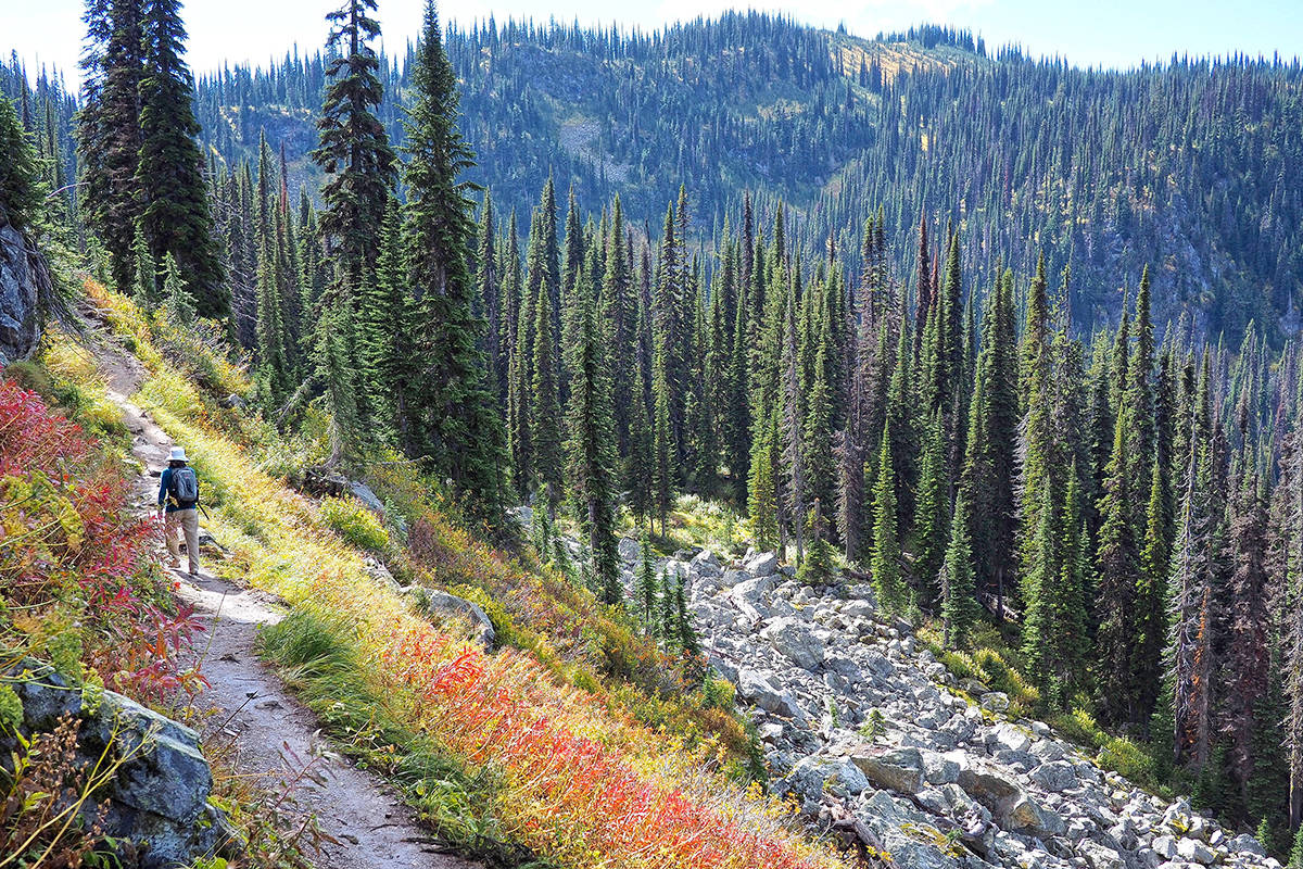 National parks closing visitor services tomorrow The Chilliwack Progress