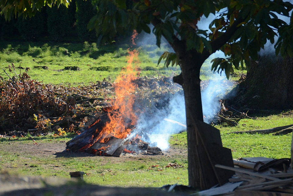 21078870_web1_17838917_web1_BackyardBurning-FairfieldIsland-102417-1-1200x801