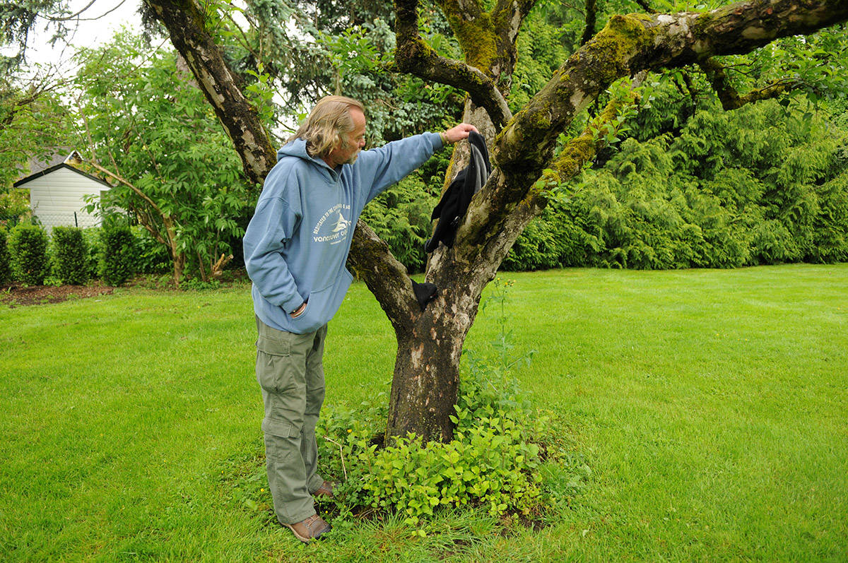 21659987_web1_200526-CPL-Gwynne-Vaughan-caretakers_2