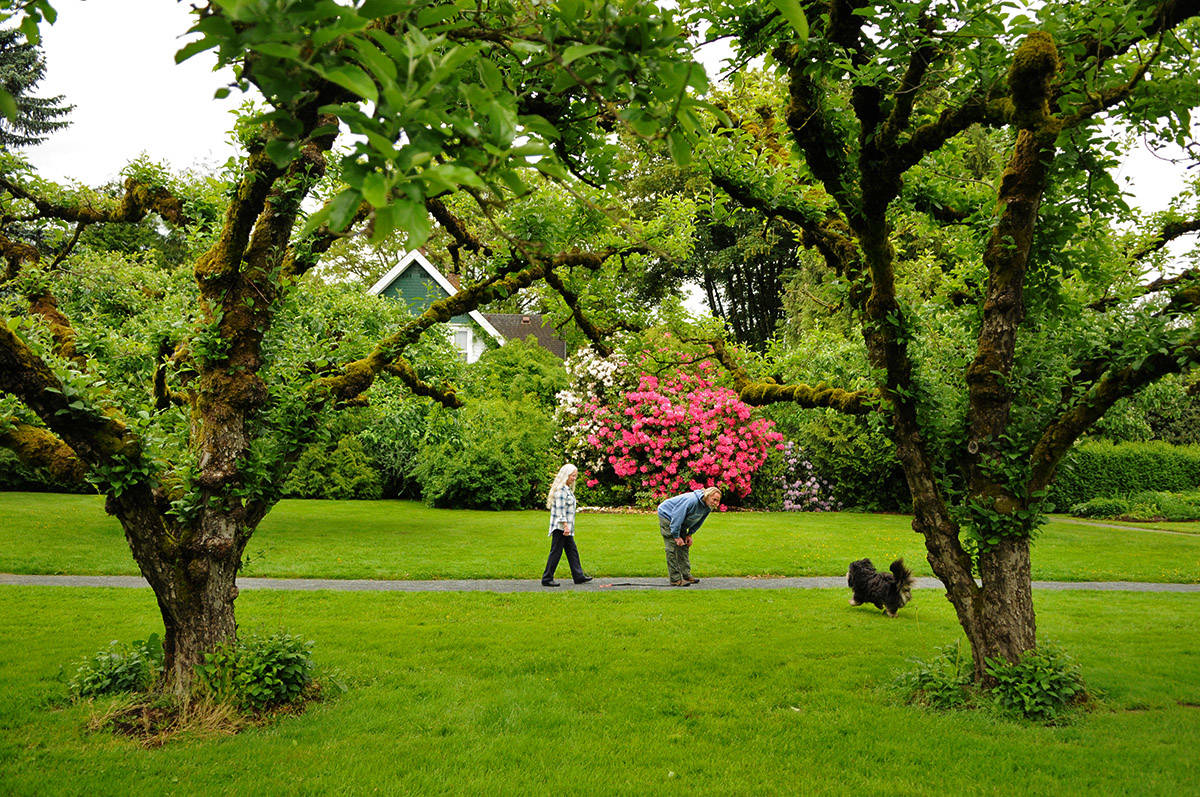 21659987_web1_200526-CPL-Gwynne-Vaughan-caretakers_4