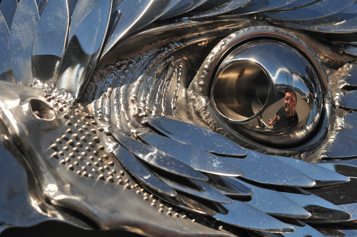 Artist Kevin Stone is seen reflected in the eye of his 3,000-pound stainless steel falcon, seen here on display outside his business on Rowat Avenue in Chilliwack on Sept. 29, 2020. (Jenna Hauck/ Chilliwack Progress)