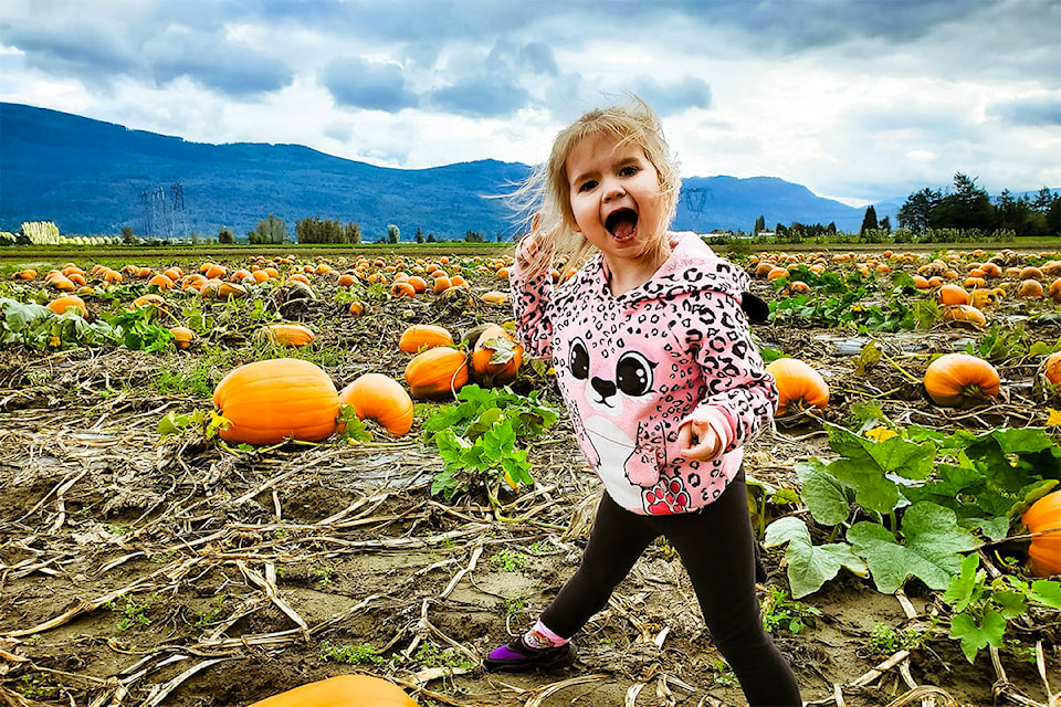 Chelsea Rochelle captured this image of her daughter at the Wisbey Veggies pumpkin patch.