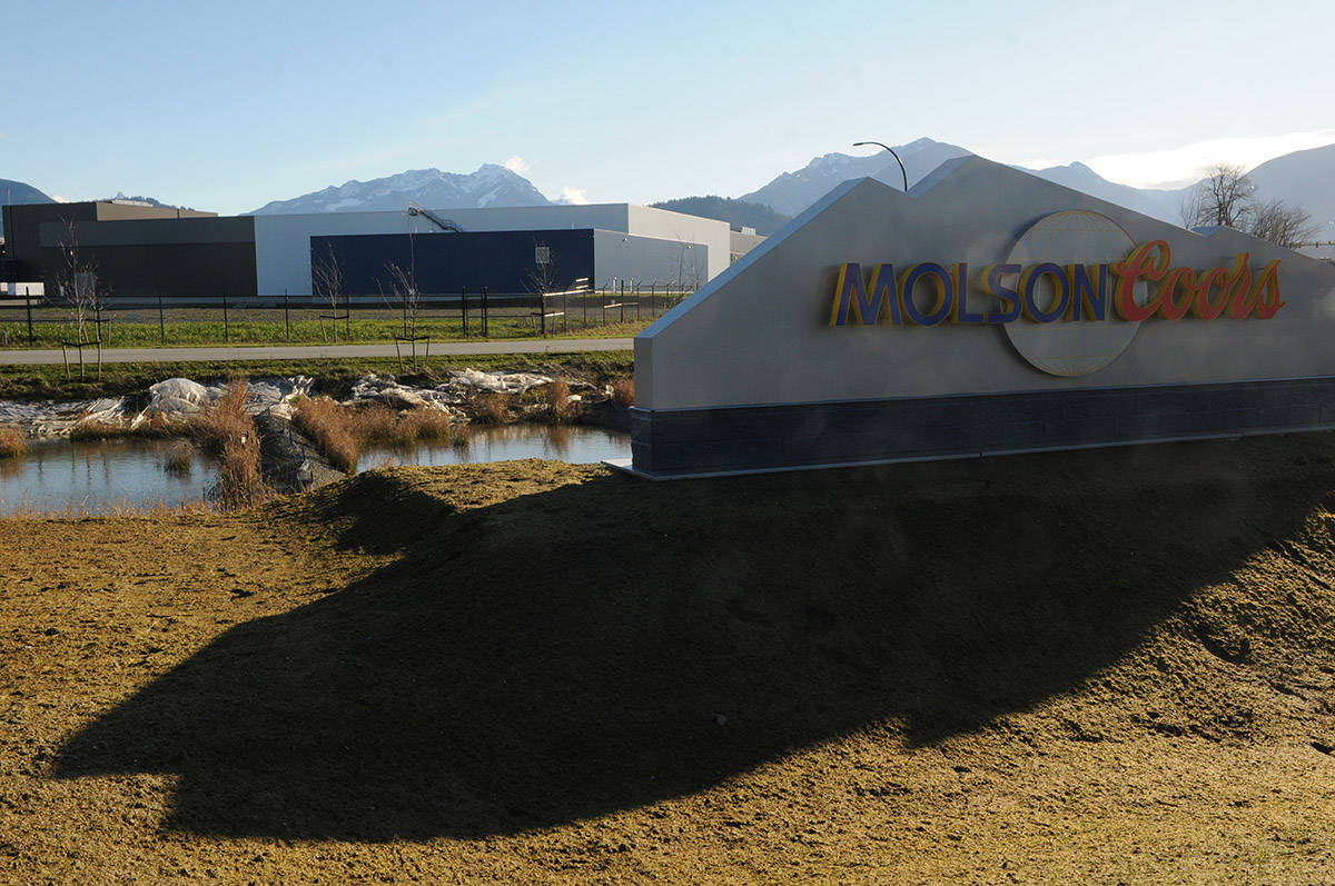Sheets of plastic are seen near pools of water around a landscaped area of the Molson Coors Fraser Valley Brewery in Chilliwack on Thursday, Jan. 21, 2021. (Jenna Hauck/ Chilliwack Progress)