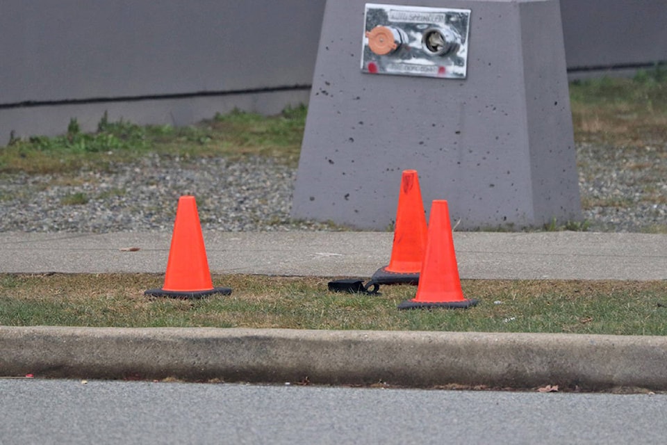 Surrey RCMP are investigating a reported assault at Panorama Ridge Secondary. (Shane MacKichan photos)