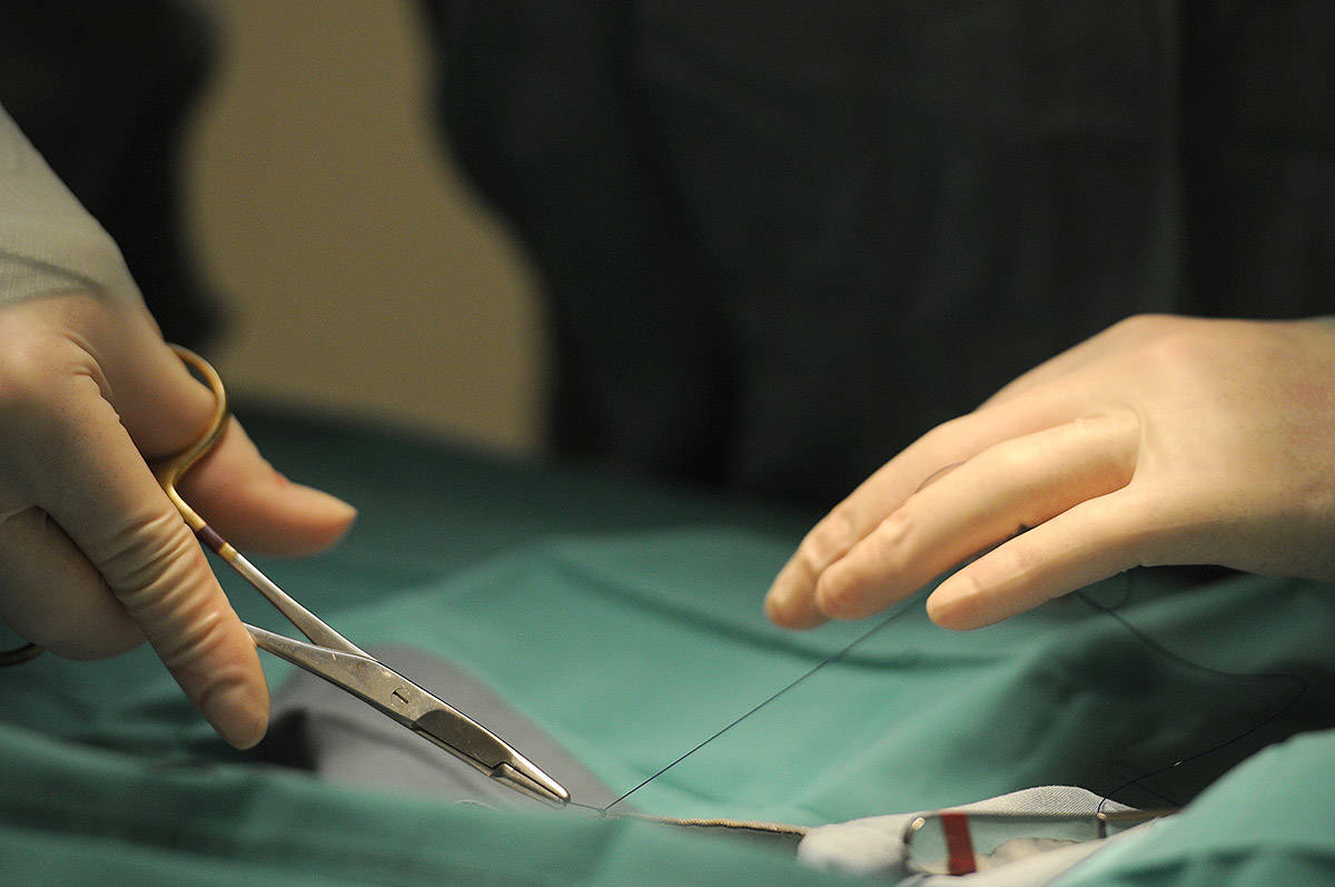Dr. Terri Pettis of Agassiz Animal Hospital performs a spay surgery on a cat during a spay/neuter clinic on Saturday, May 1, 2021. (Jenna Hauck/ Chilliwack Progress)