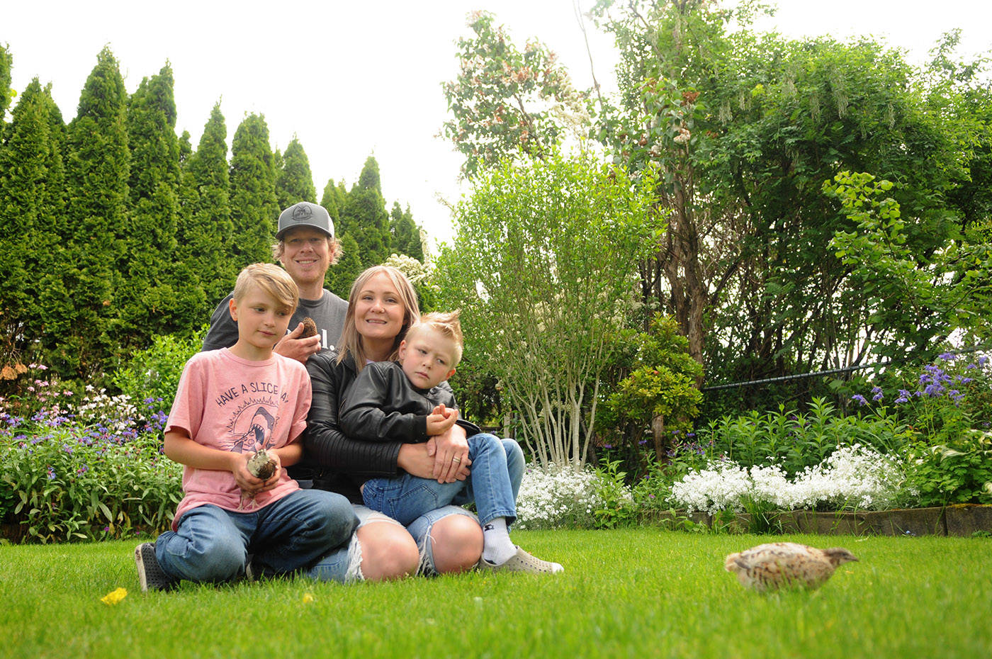 The Meredith family (Nick, Nicole, 10-year-old Lukas and eight-year-old Bowen) pose with three of their pet quail in their backyard in Chilliwack on Friday, May 28, 2021. The family was ordered to move their backyard quail or face a fine. (Jenna Hauck/ Chilliwack Progress)