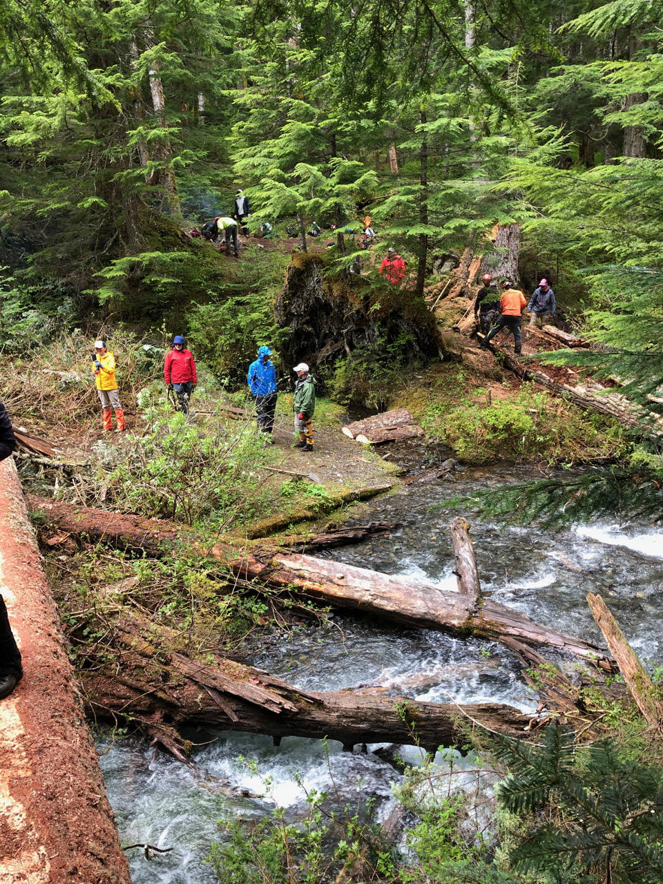 Members of the Chilliwack Outdoor Club celebrated BC Trails Day by cleaning up Pierce Creek Trail up Chilliwack Lake Road and creating a new bridge across a creek. (Submitted)
