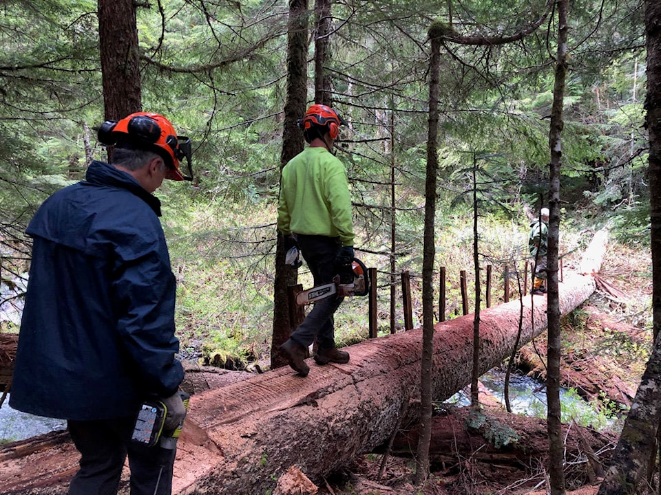 25453106_web1_210609-CPL-Chilliwack-Outdoor-Club-Trail-Repair_2