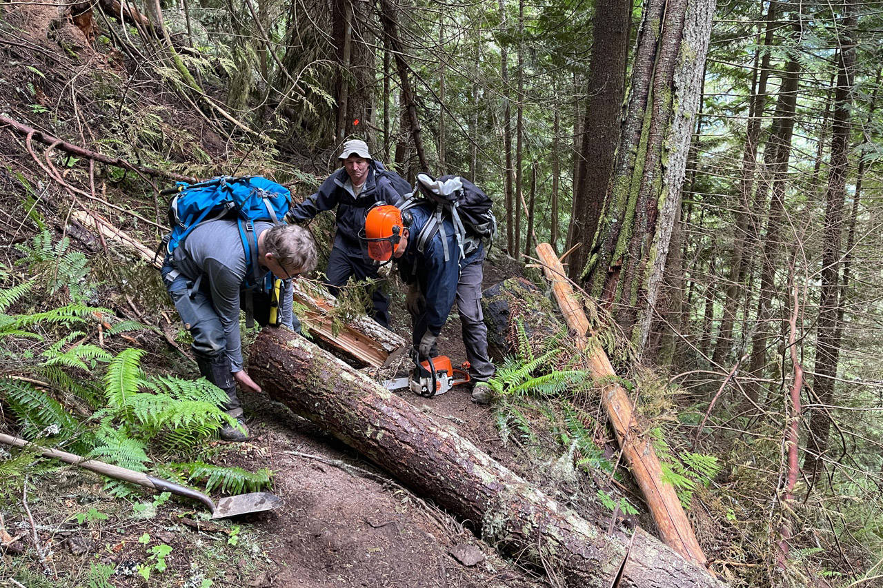 Members of the Chilliwack Outdoor Club celebrated BC Trails Day by cleaning up Pierce Creek Trail up Chilliwack Lake Road and creating a new bridge across a creek. (Submitted)