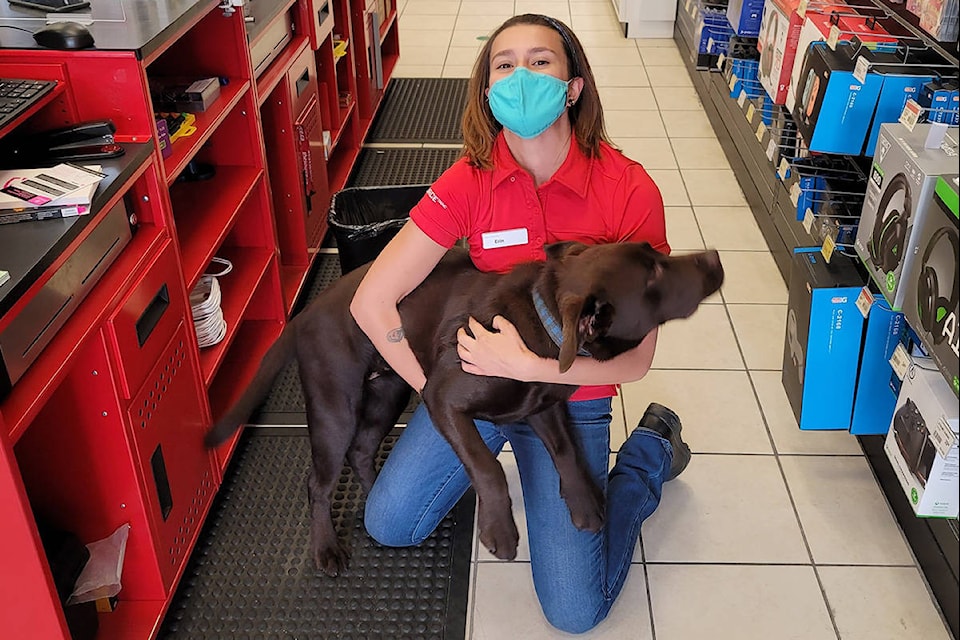 PHOTOS Mission manager asks internet to bring in dogs for pup