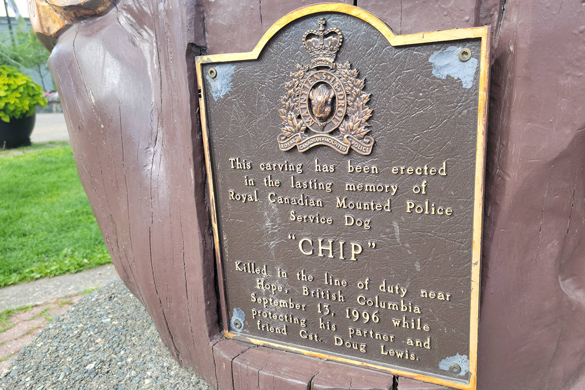 26332783_web1_210831-HSL-Chip-Memorial-Chipthedog_2