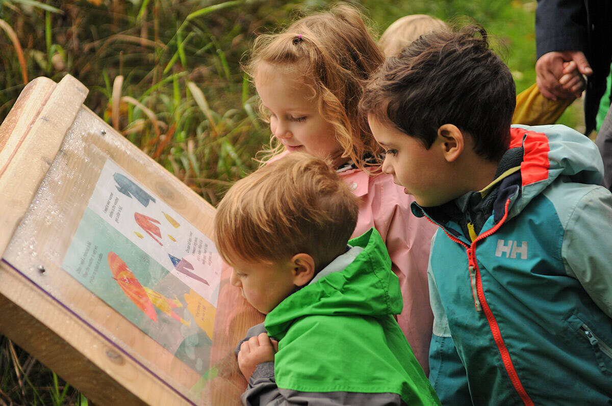 Preschoolers with Leap for Joy Open Air Learning check out a story during the launch of the Yarrow StoryWalk along the Beaver Loop Trail by the Vedder River in Yarrow on Thursday, Oct. 7, 2021. (Jenna Hauck/ Chilliwack Progress)