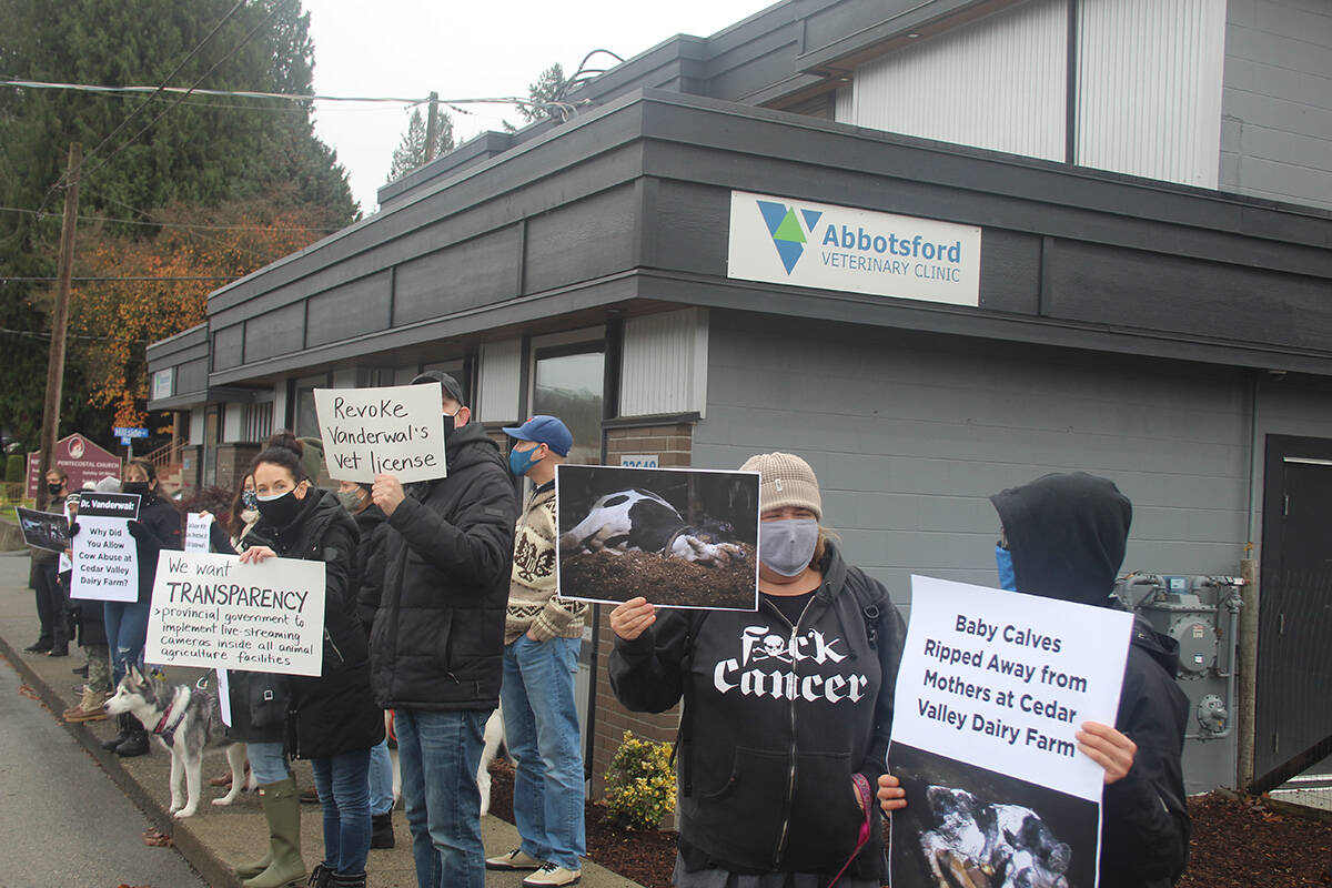 27172406_web1_211118-ABB-vet-farm-abuse-protest-Vet-protests_4