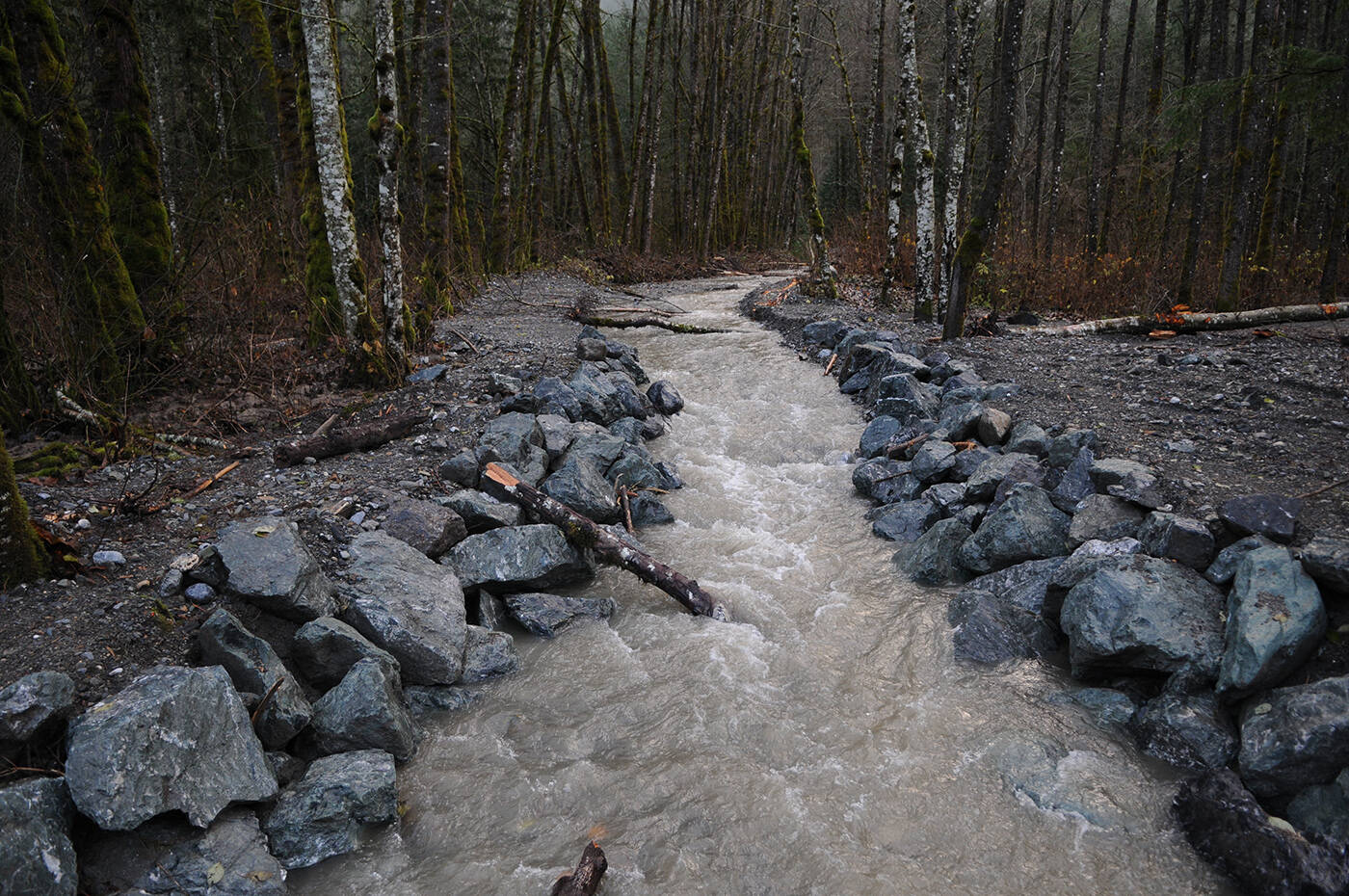 Pierce Creek flows towards Chilliwack Lake Road on Friday, Nov. 26, 2021 after this section of the channel was completely blocked with rocks and debris following heavy rain last week. (Jenna Hauck/ Chilliwack Progress)