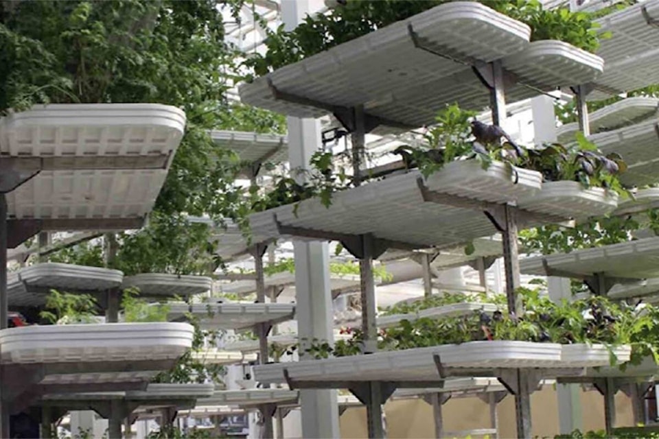 28224985_web1_211229-PQN-QB-Innovation-Hub-VerticalFarming_1