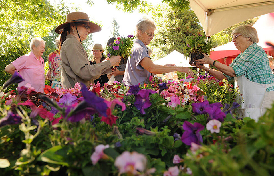 28999482_web1_gwynne-vaughan-plant-sale1.0606