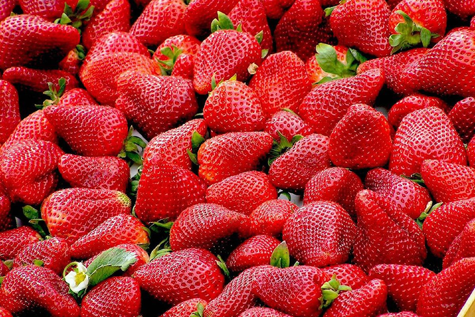 29074450_web1_220510-ABB-Strawberry-sales_1