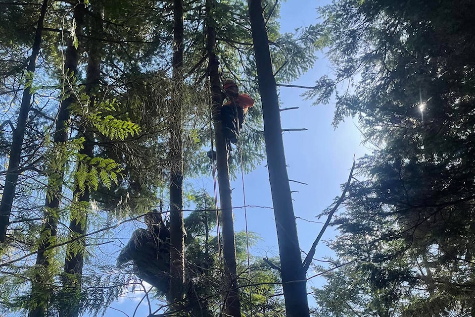 With the help of an arbourist, KHSAR volunteers were able to rescue a paraglider pilot from a tree on Mount Woodside. (Contributed Photo/Kent-Harrison Search and Rescue)