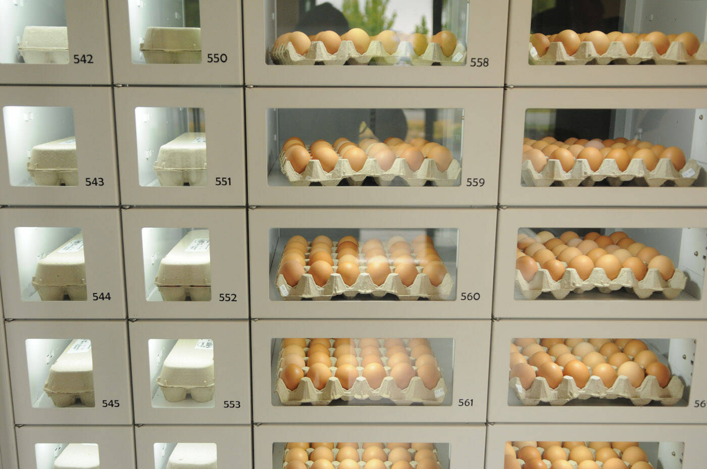 The vending machine holds room-temperature, refrigerated and frozen items. (Jenna Hauck/ Chilliwack Progress)