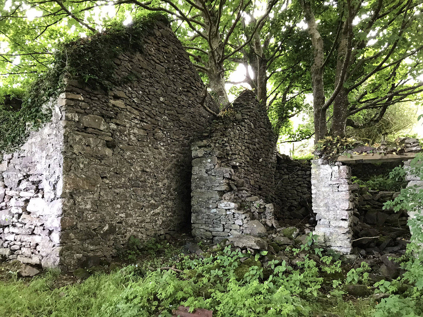 A group of 12 mostly retired Chilliwack hikers were in Ireland in June to walk the 180-kilometre Dingle Way trail around the Dingle Peninsula. (Rob Forde)