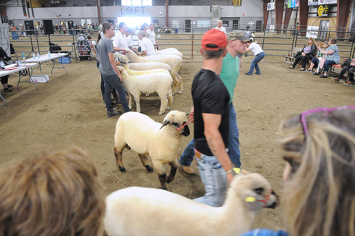 After a virtual fair in 2020 and a scaled-down version in 2021, the 150th annual fair returns to Chilliwack Heritage Park Aug. 5 to 7. Above is the fair in 2019. (Jenna Hauck/ Chilliwack Progress file)