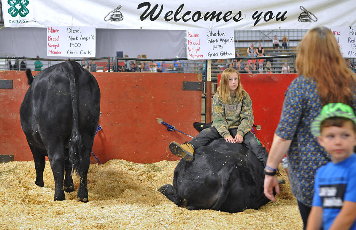 After a virtual fair in 2020 and a scaled-down version in 2021, the 150th annual fair returns to Chilliwack Heritage Park Aug. 5 to 7. Above is the fair in 2019. (Jenna Hauck/ Chilliwack Progress file)