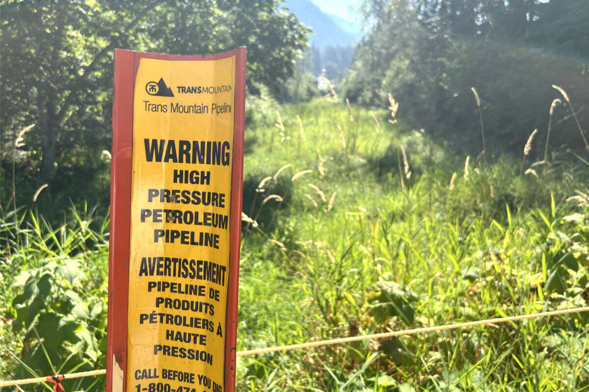 A wetland environmentalists want protected near Bridal Veil Falls east of Chilliwack on the route of the Trans Mountain Pipeline Expansion Project on Aug. 30, 2022. (Paul Henderson/ Chilliwack Progress)
