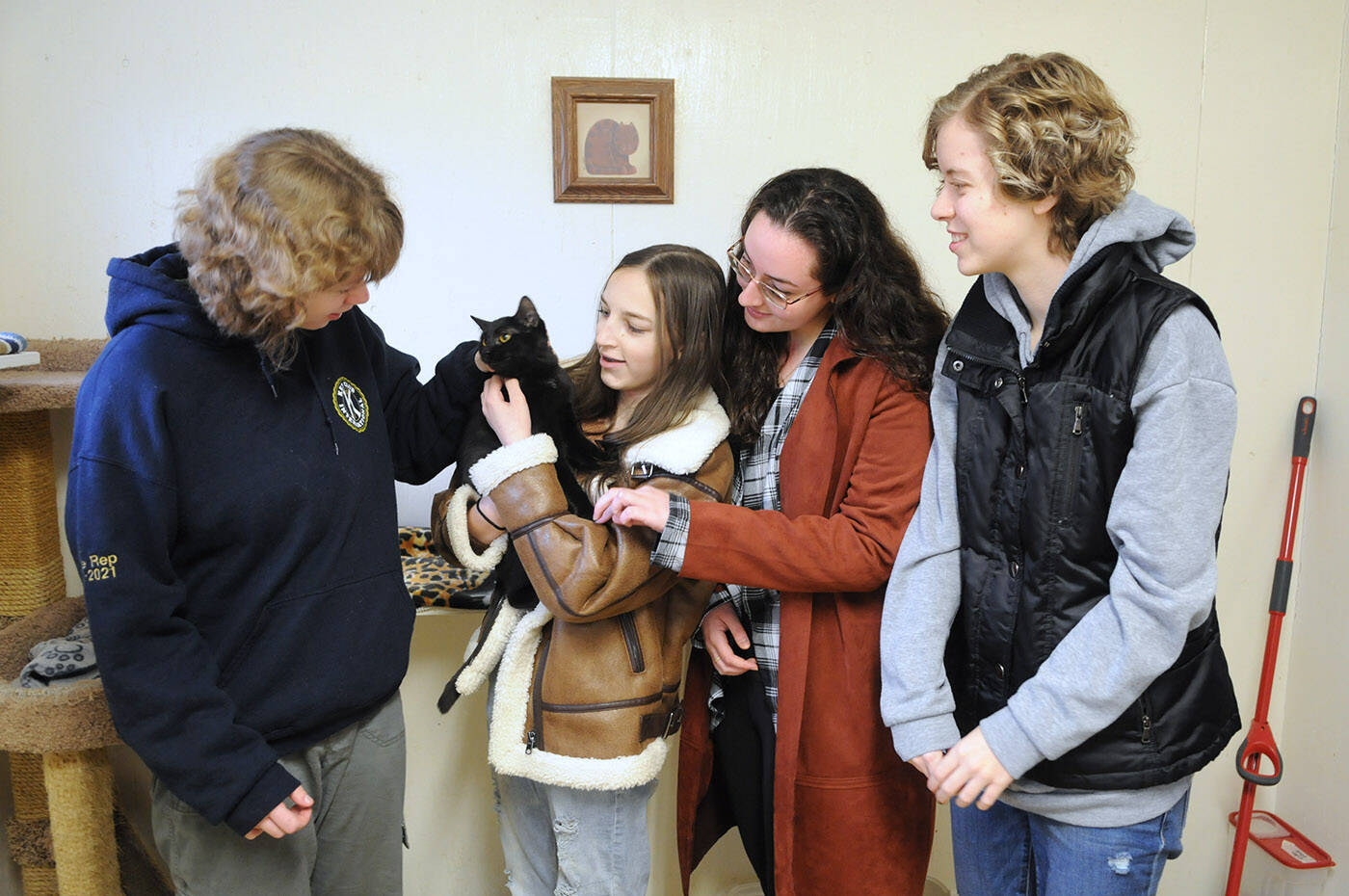 From left, Claire Pinckney, Carys Bamford, Sarah Verma and Sierra Schumacher with Sardis Secondary Schools Ecomaniacs club visit a cat at the Chilliwack Animal Safe Haven on Saturday, Dec. 17, 2022. (Jenna Hauck/ Chilliwack Progress)