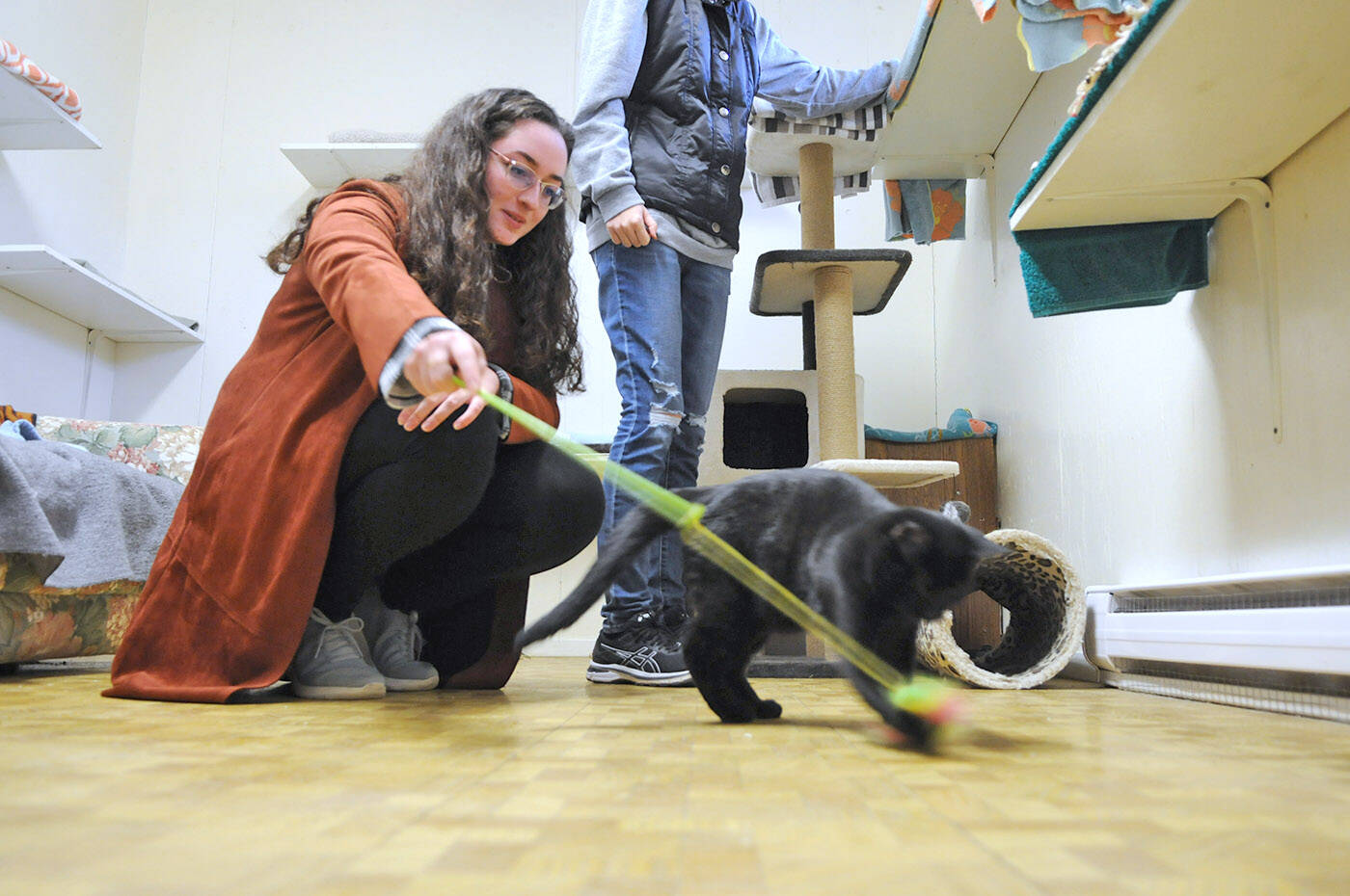 Sarah Verma with Sardis Secondary Schools Ecomaniacs club visits a cat at the Chilliwack Animal Safe Haven on Saturday, Dec. 17, 2022. (Jenna Hauck/ Chilliwack Progress)