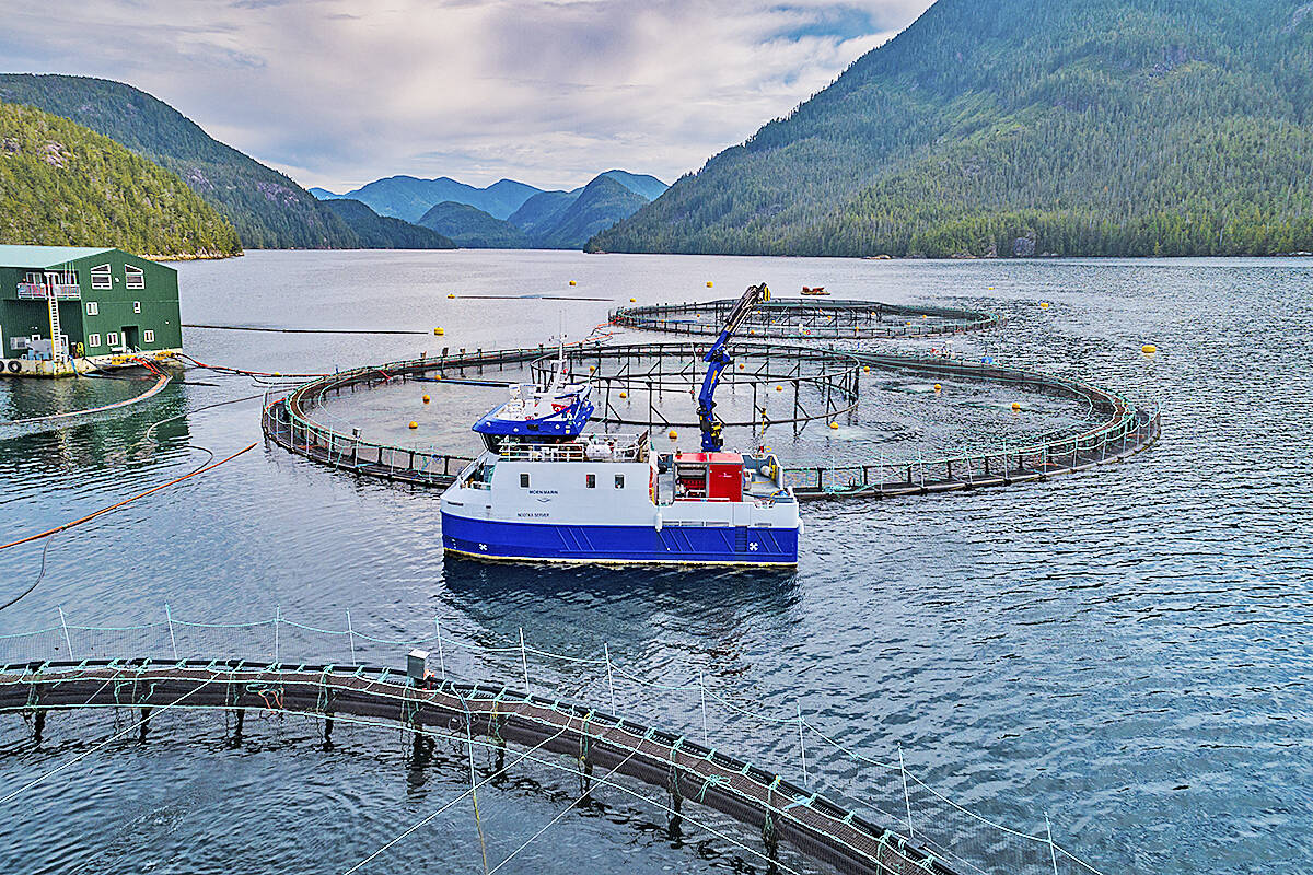 B.C. First Nation, aquaculture companies challenge Discovery Island fish farm closures in court