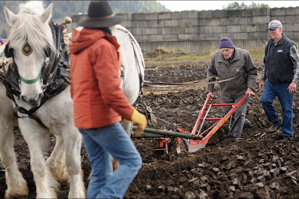 Dave Reid, 95, plows a portion of Denis Ryan’s plot during the 101st annual Chilliwack Plowing Match at Greendale Acres on Saturday, April 1, 2023. Reid, who uses a walker and hasn’t competed in plowing in years, had the chance to plow again thanks to the kind gesture by Ryan (right). (Jenna Hauck/ Chilliwack Progress)