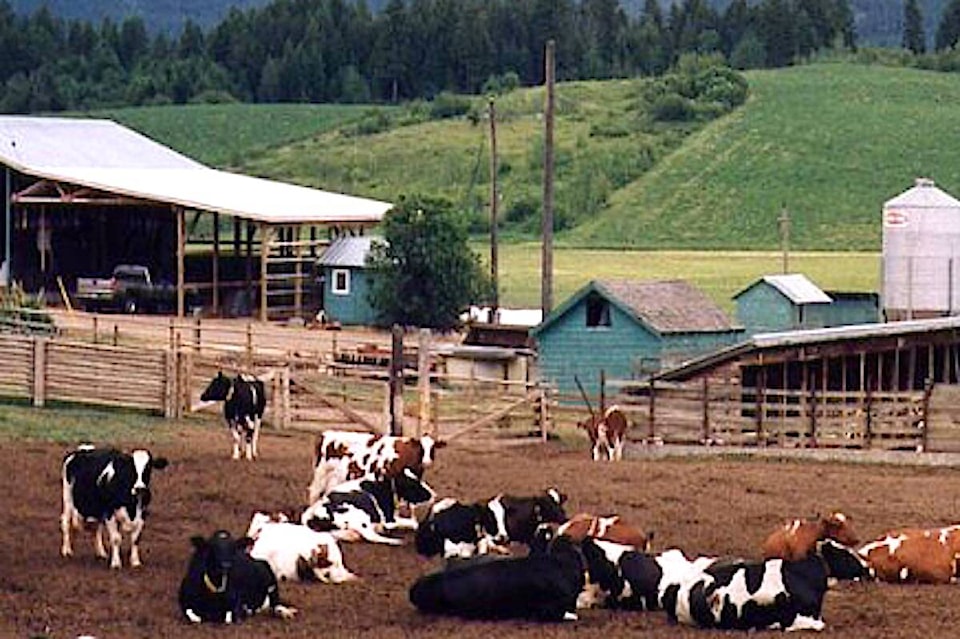 32415205_web1_230413-CPL-Rural-Projects-Funding_1