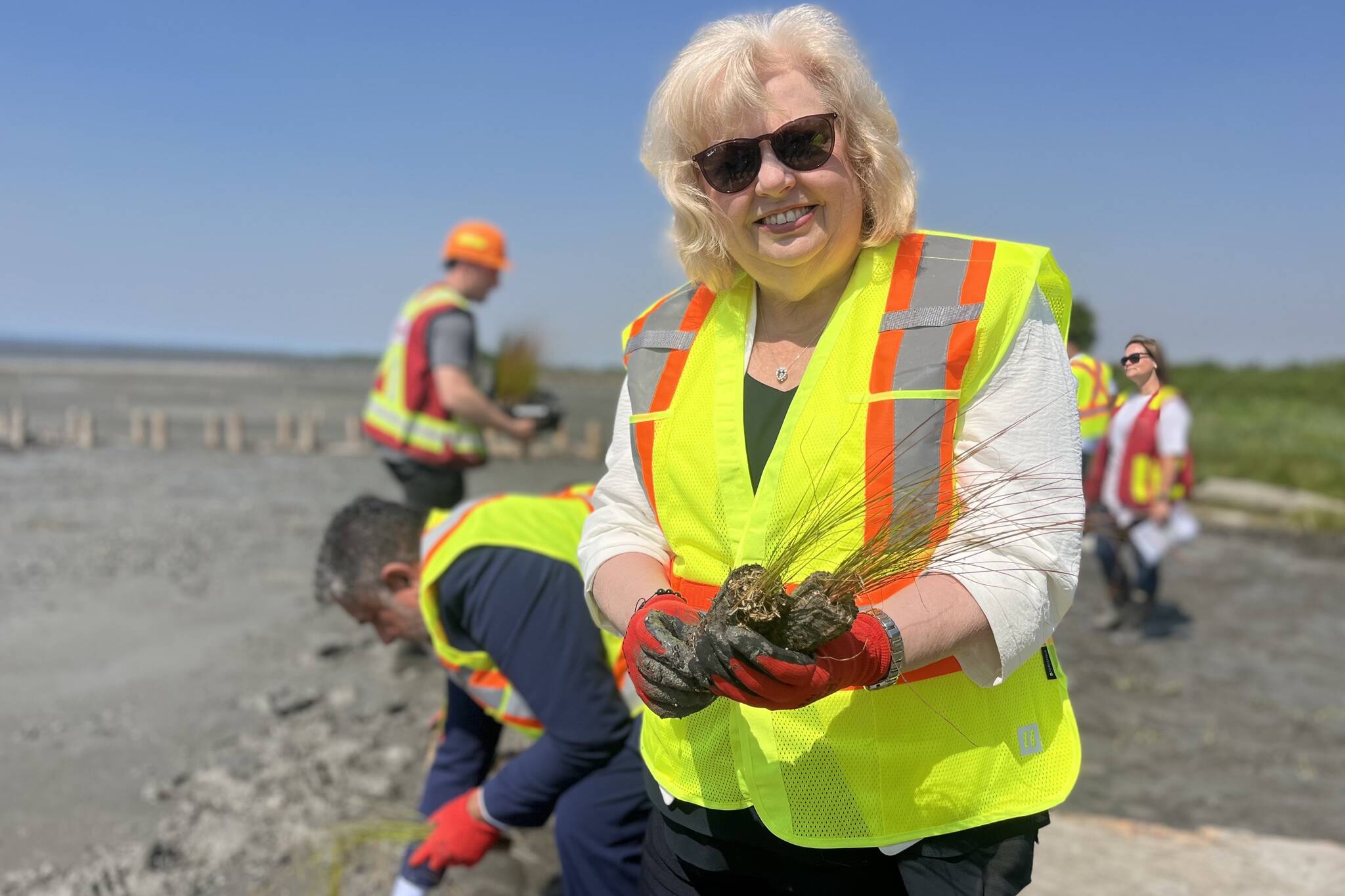 32961220_web1_230615-PAN-living-dyke-Mud-Bay_1