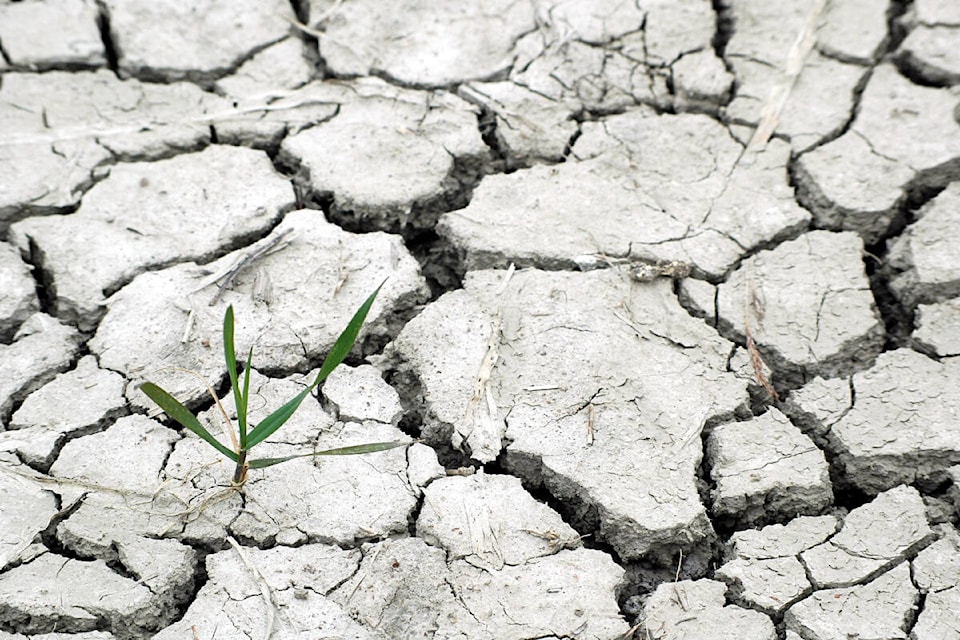 33349686_web1_230622-ACC-Drought-forecast-ParchedEarth_1